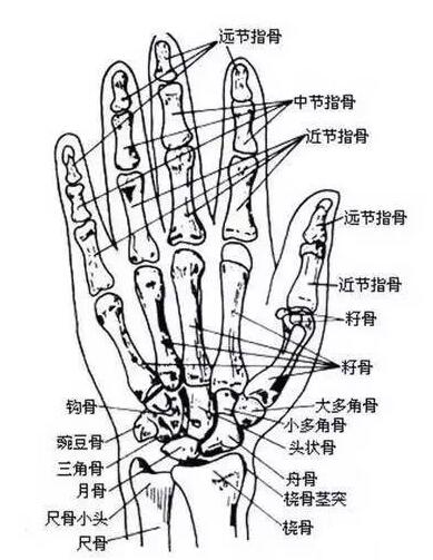 贵州贵阳美术培训学校